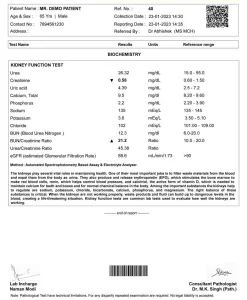 Kidney Function Test Report Sample